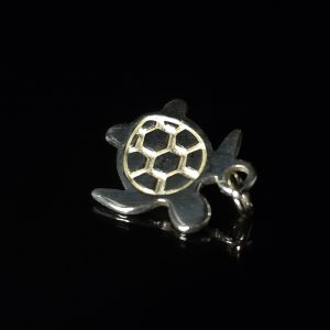 Colgante tortuga Plata 925