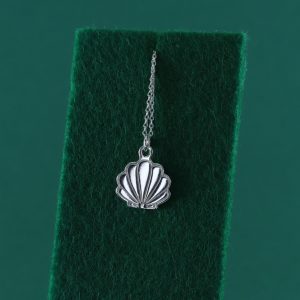 Concha eco del océano