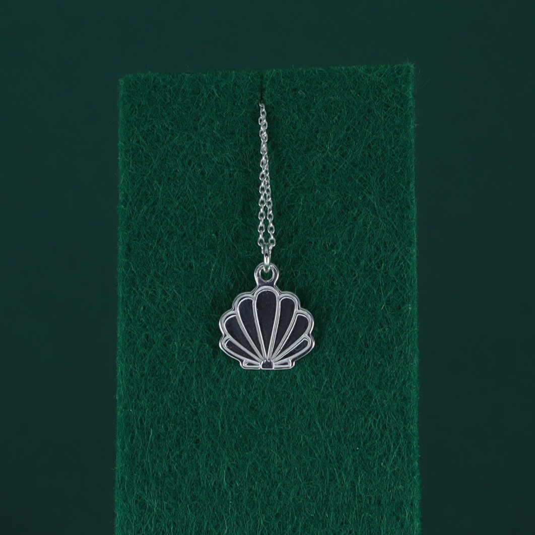 Concha eco del océano - Imagen 2