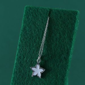 Estrella de mar blanca