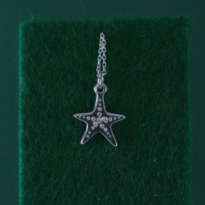 Estrella de mar texturada