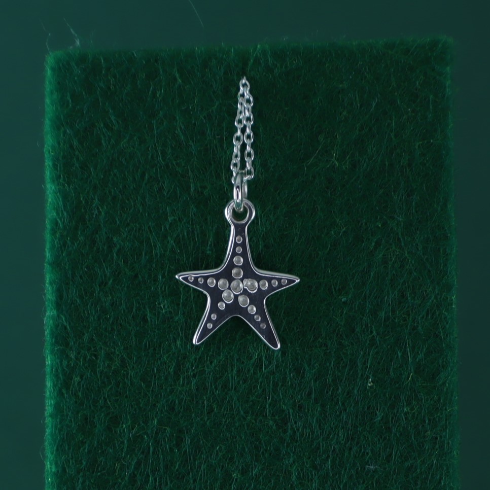 Estrella de mar texturada