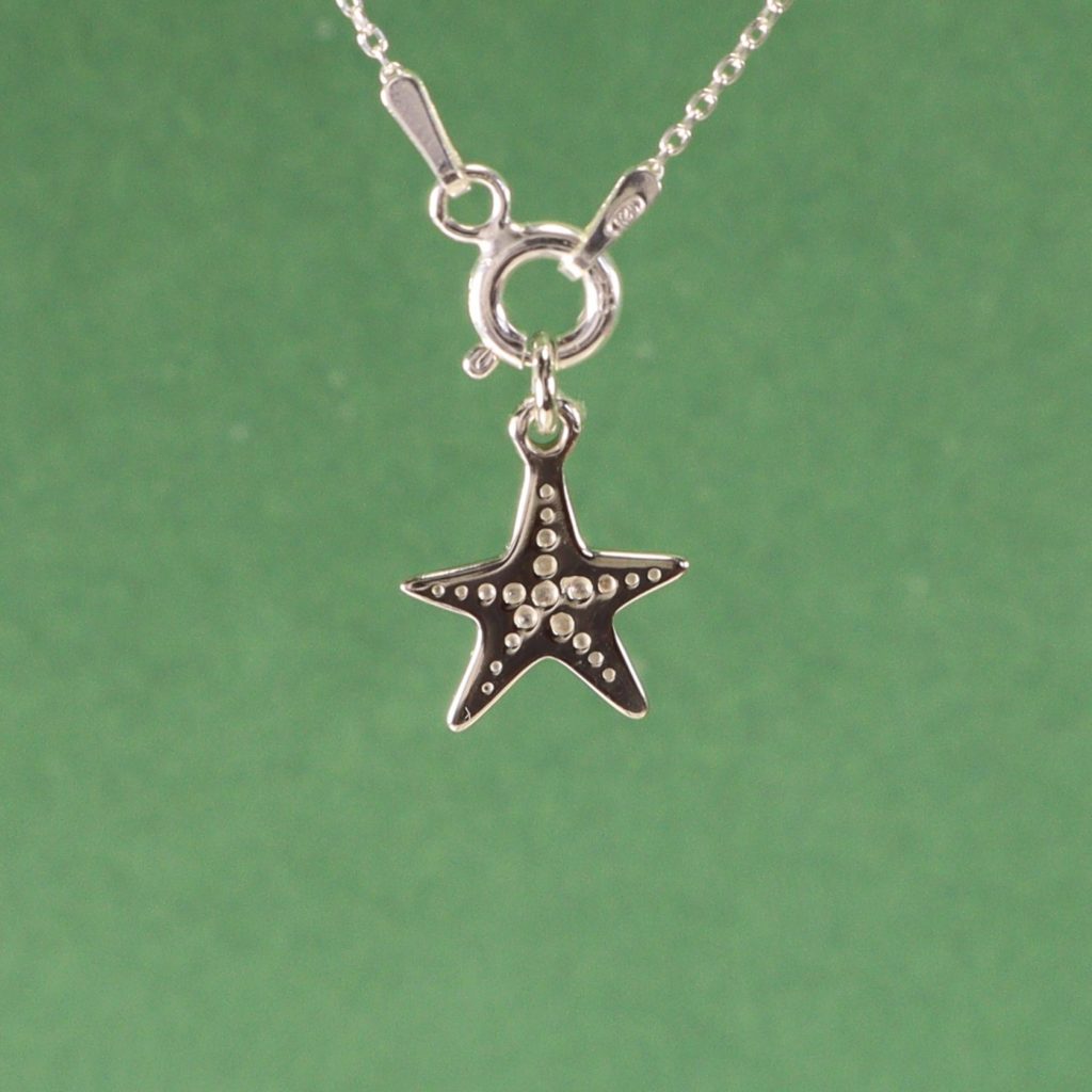 Estrella de mar texturada