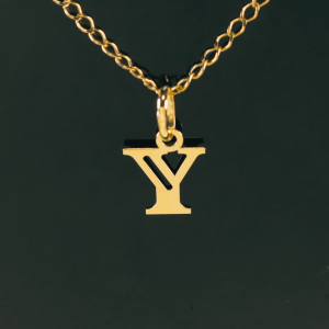 Colgante Inicial Y 18K