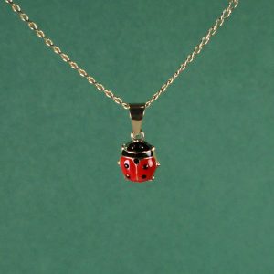 Colgante Ladybug