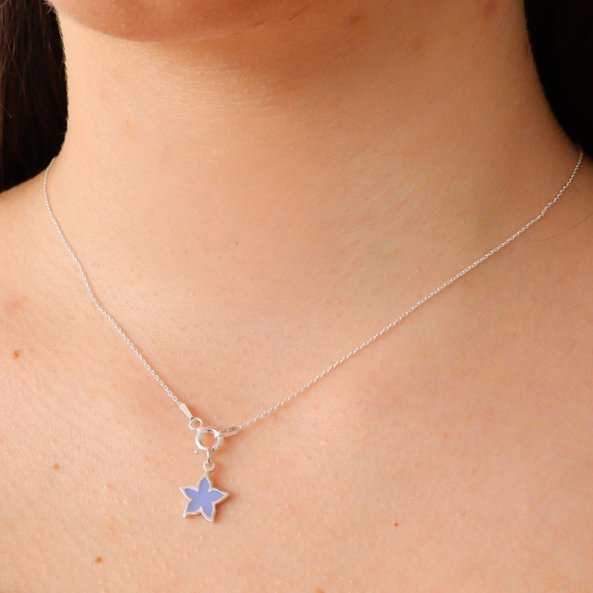 Estrella de mar lila - Imagen 2