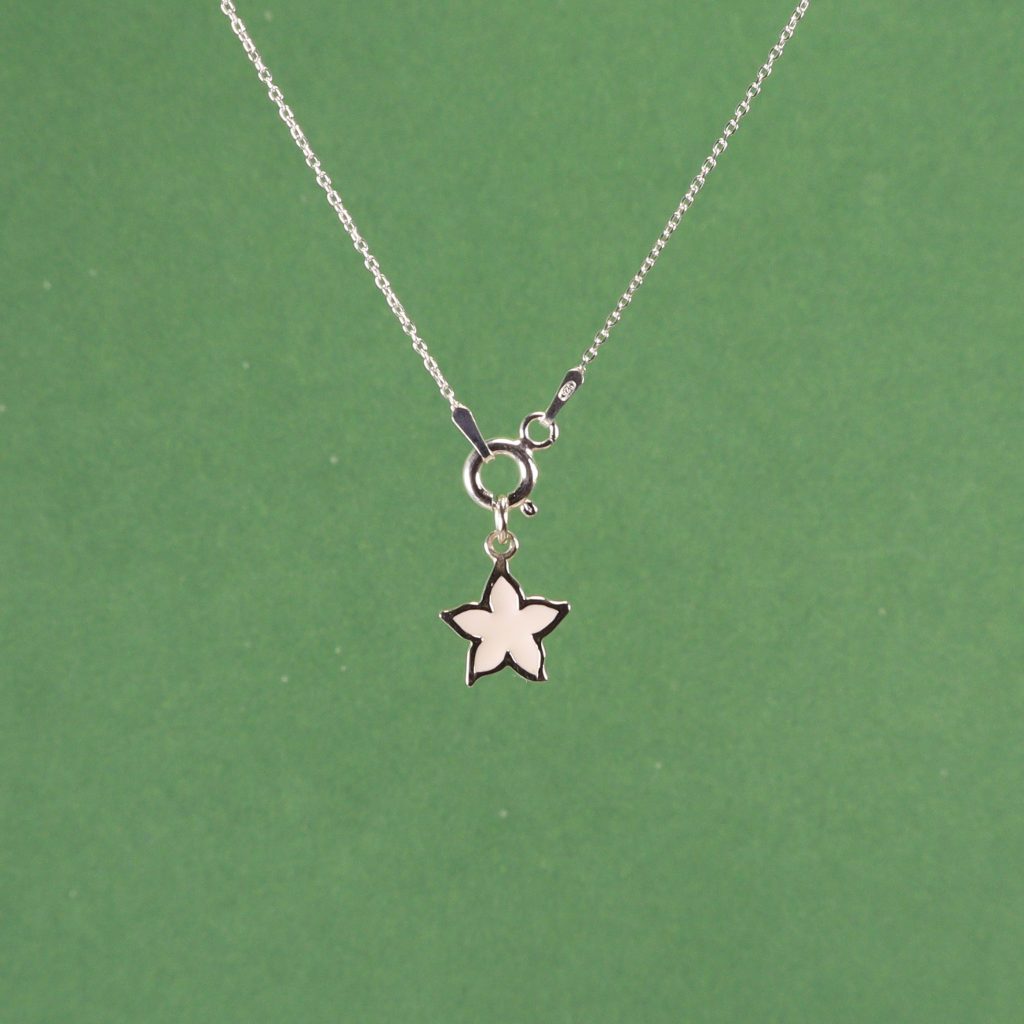 Estrella de mar blanca