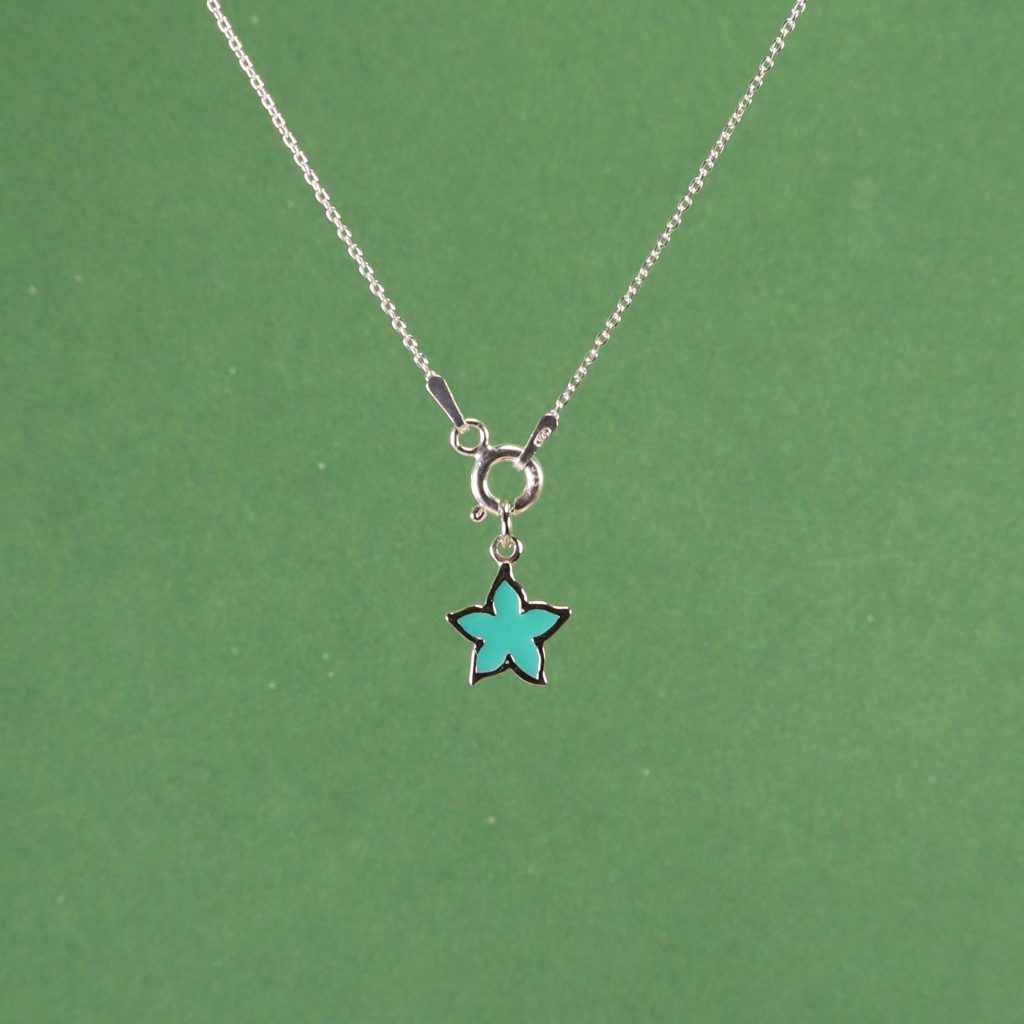 Estrella de mar verde