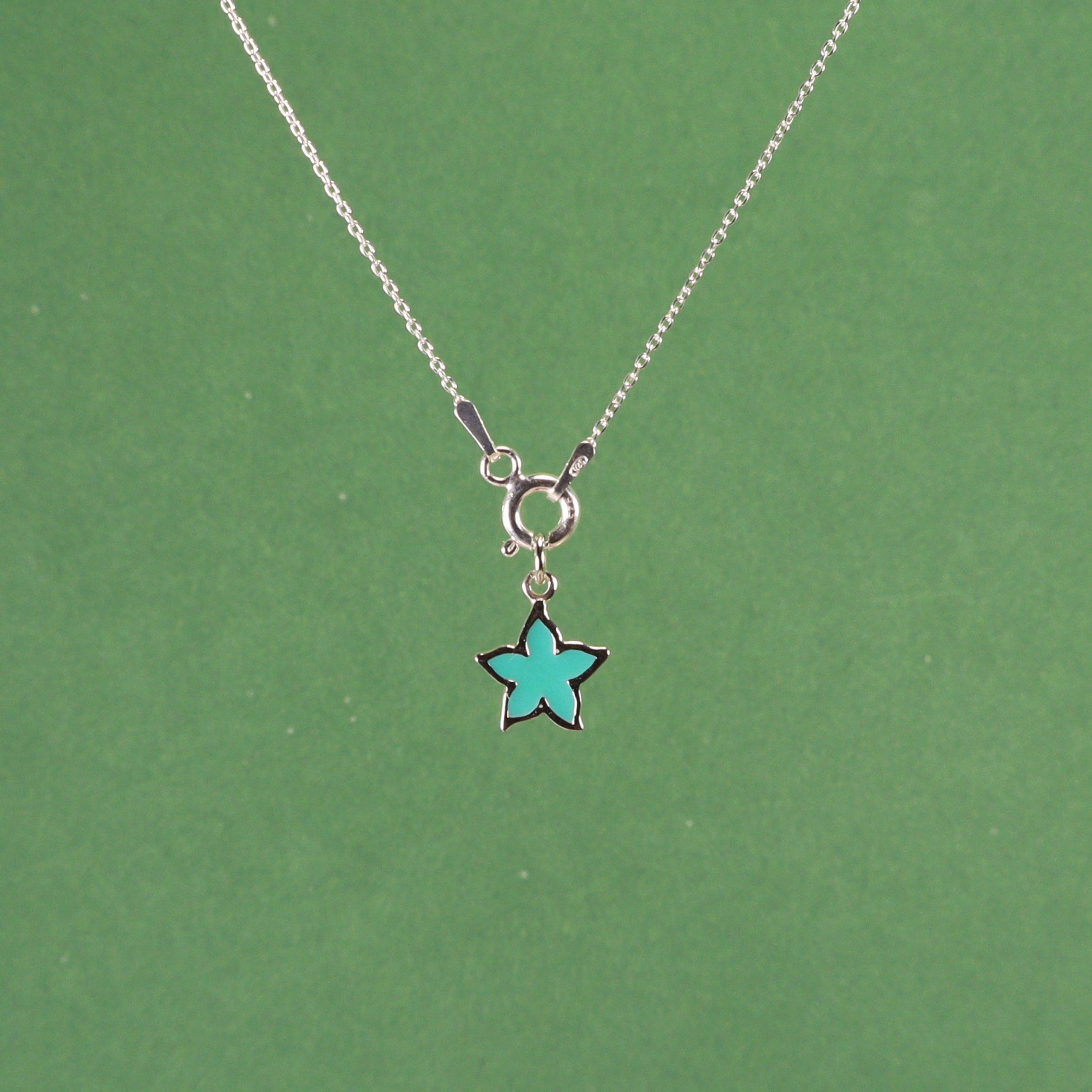Estrella de mar verde