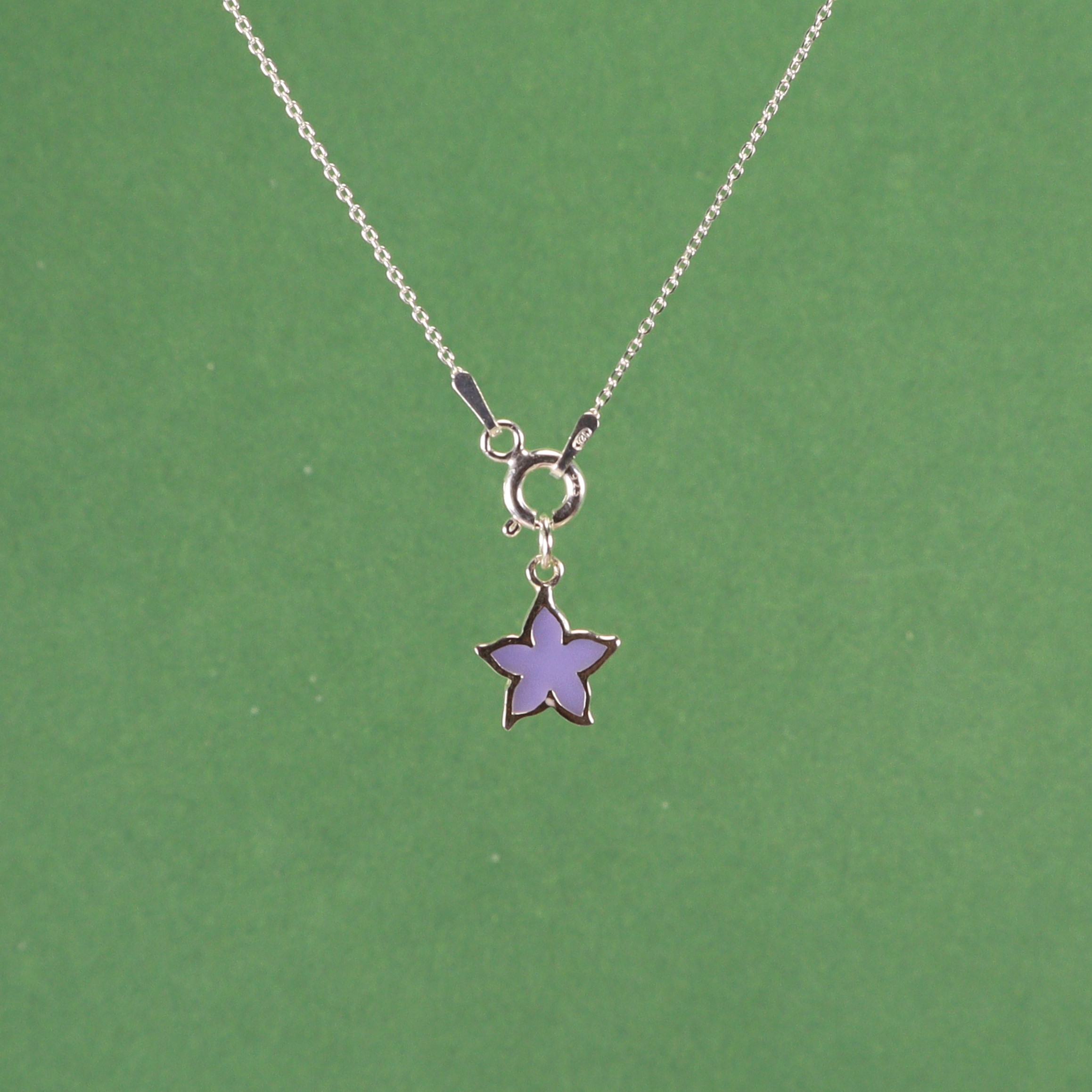 Estrella de mar lila